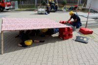 IMG_9836 (Large)
